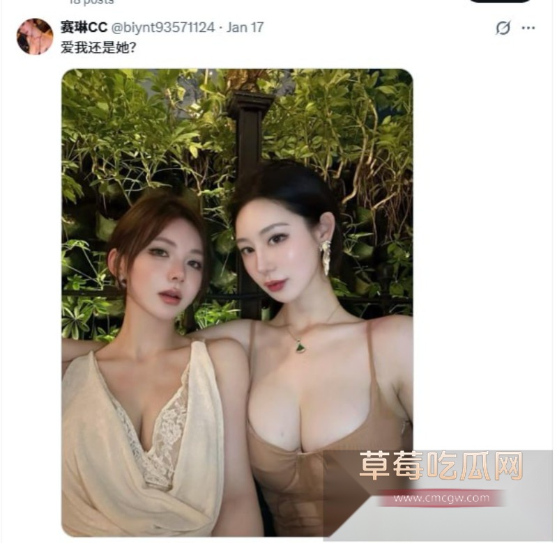 赛琳cc17