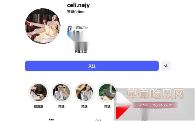 赛琳cc22