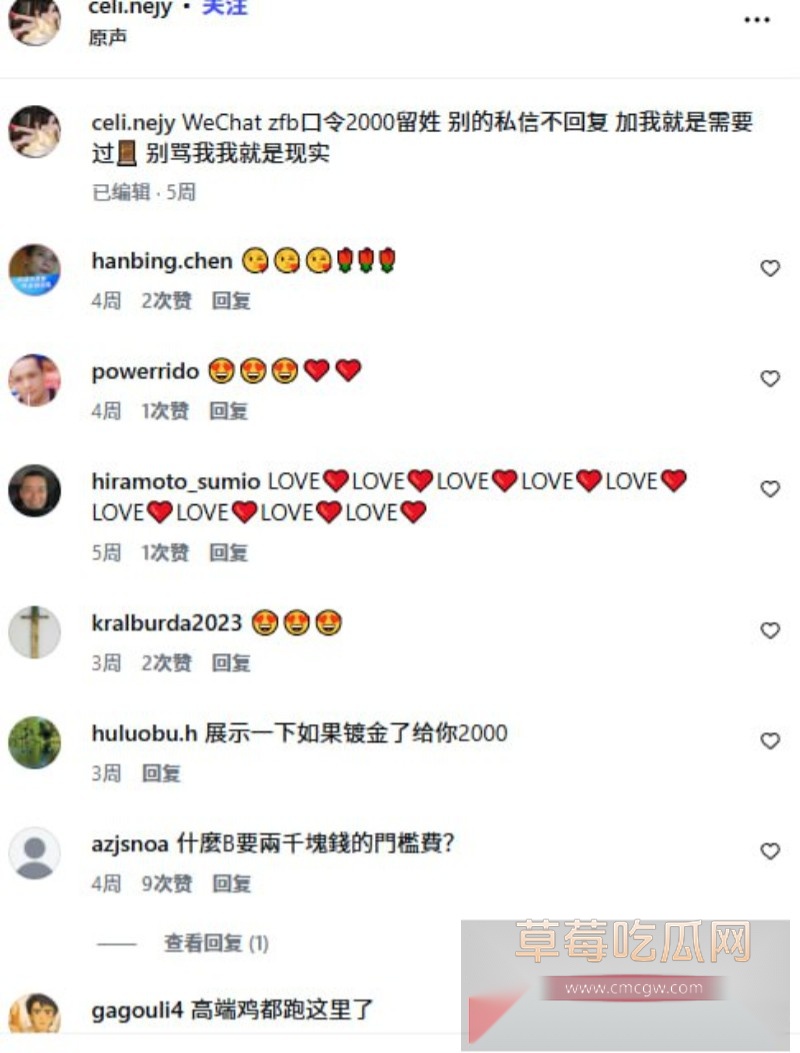 赛琳cc29