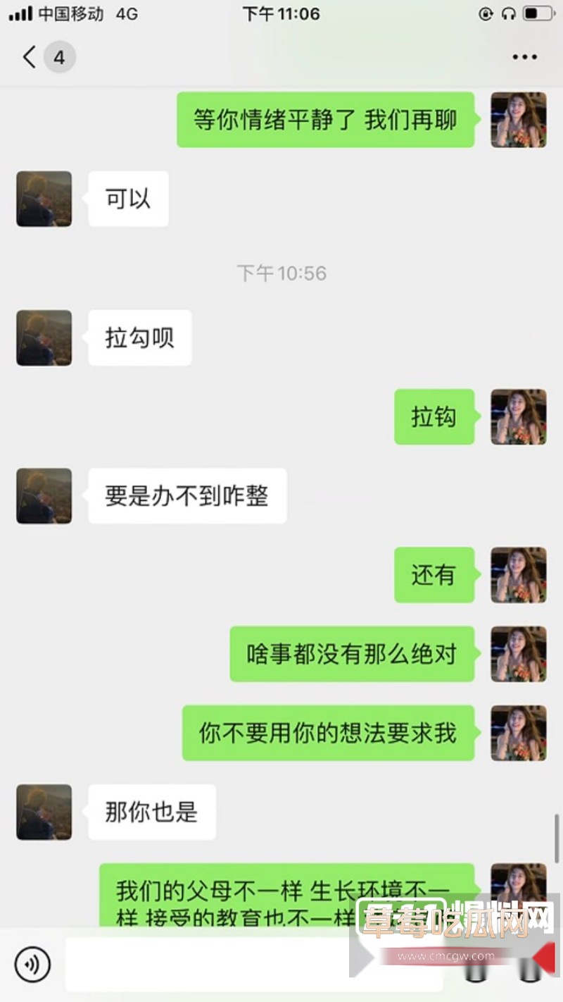 张肇鸿王冰21