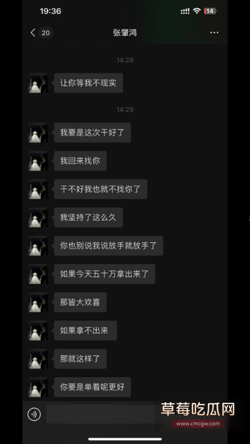 张肇鸿王冰27