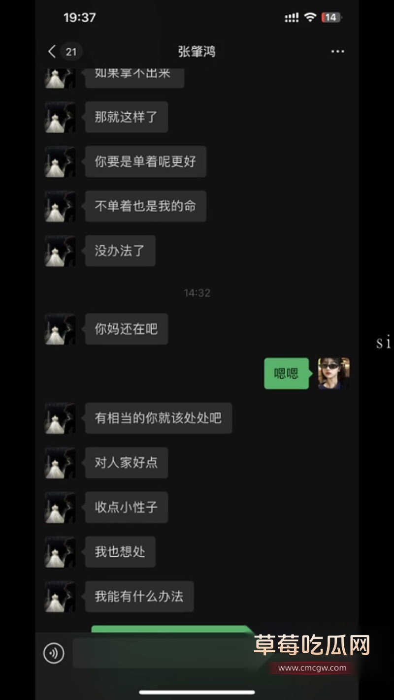 张肇鸿王冰28