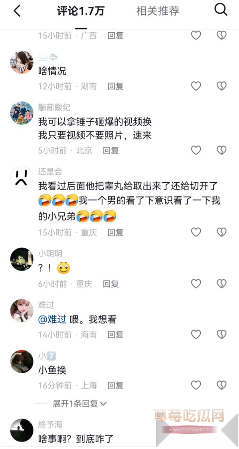 割蛋2
