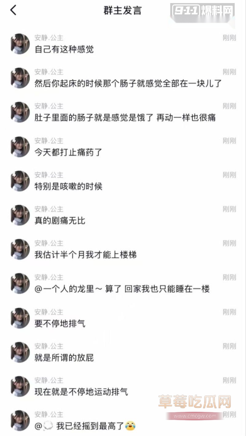 安静公主肛裂事件2