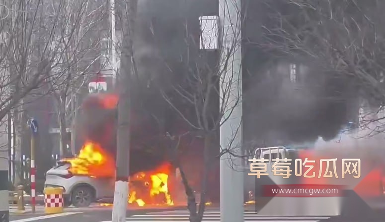 电动车自燃 5