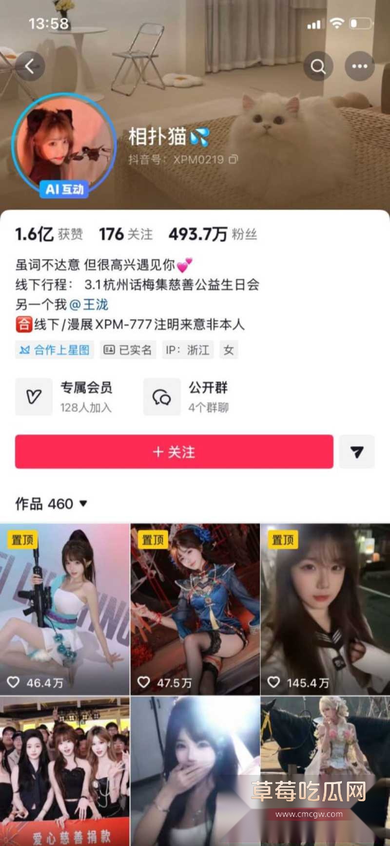 抖音500万粉网红 相扑猫 23