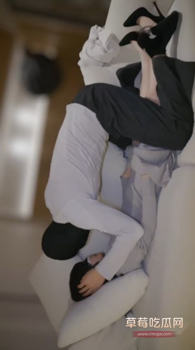 犬九6