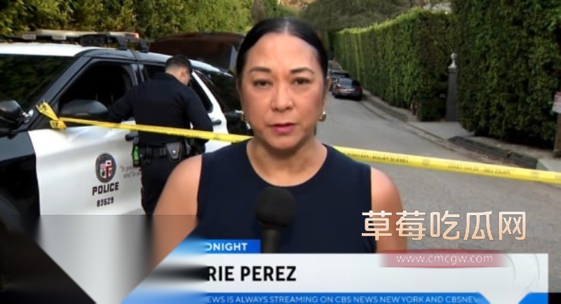 蕾哈娜和 9