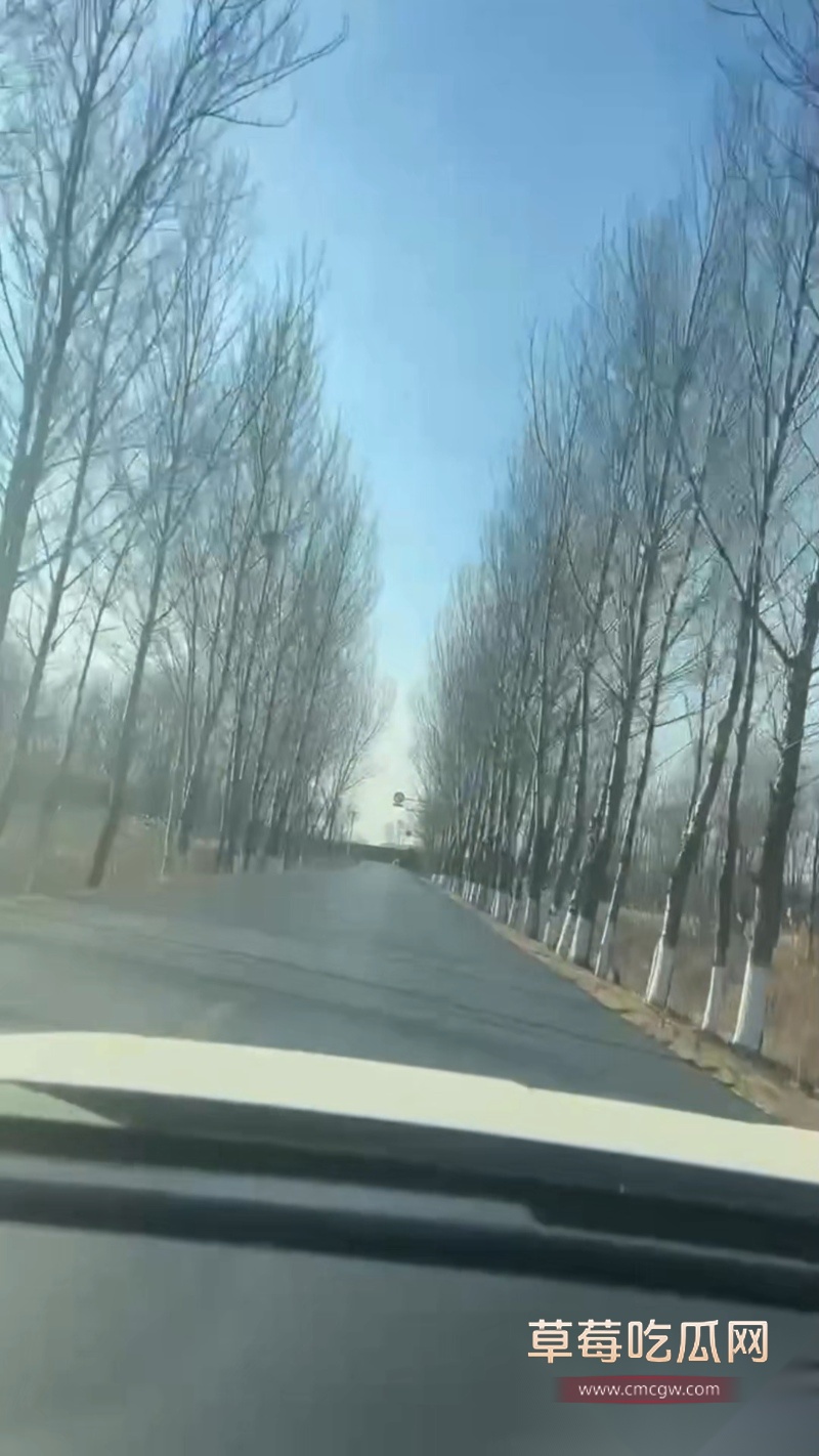在驾校路边的车里和楼道奖励女儿 12