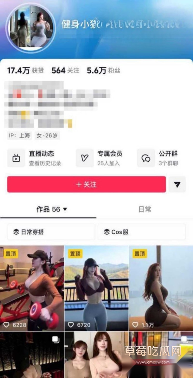 健身小猫1