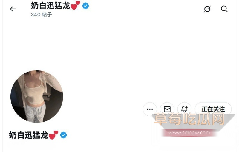 奶白迅猛龙 1