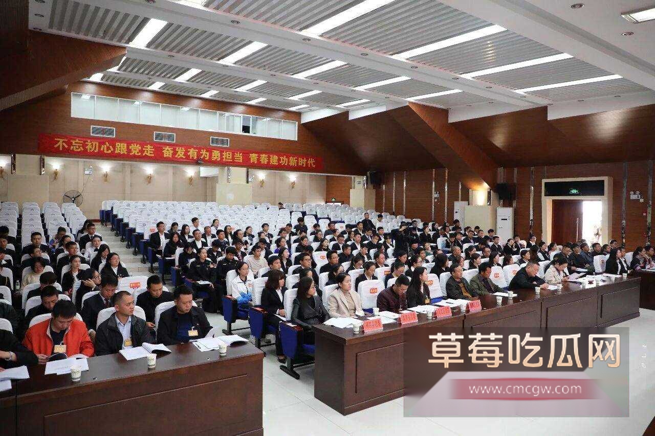 云南师宗副县长苏尔飞5