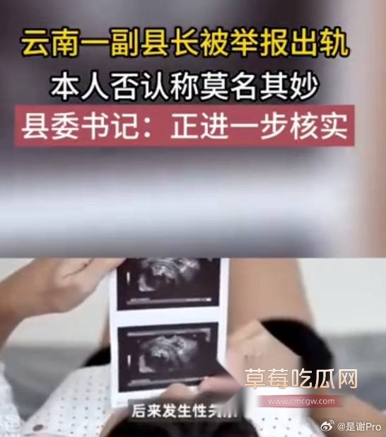 云南师宗副县长苏尔飞16