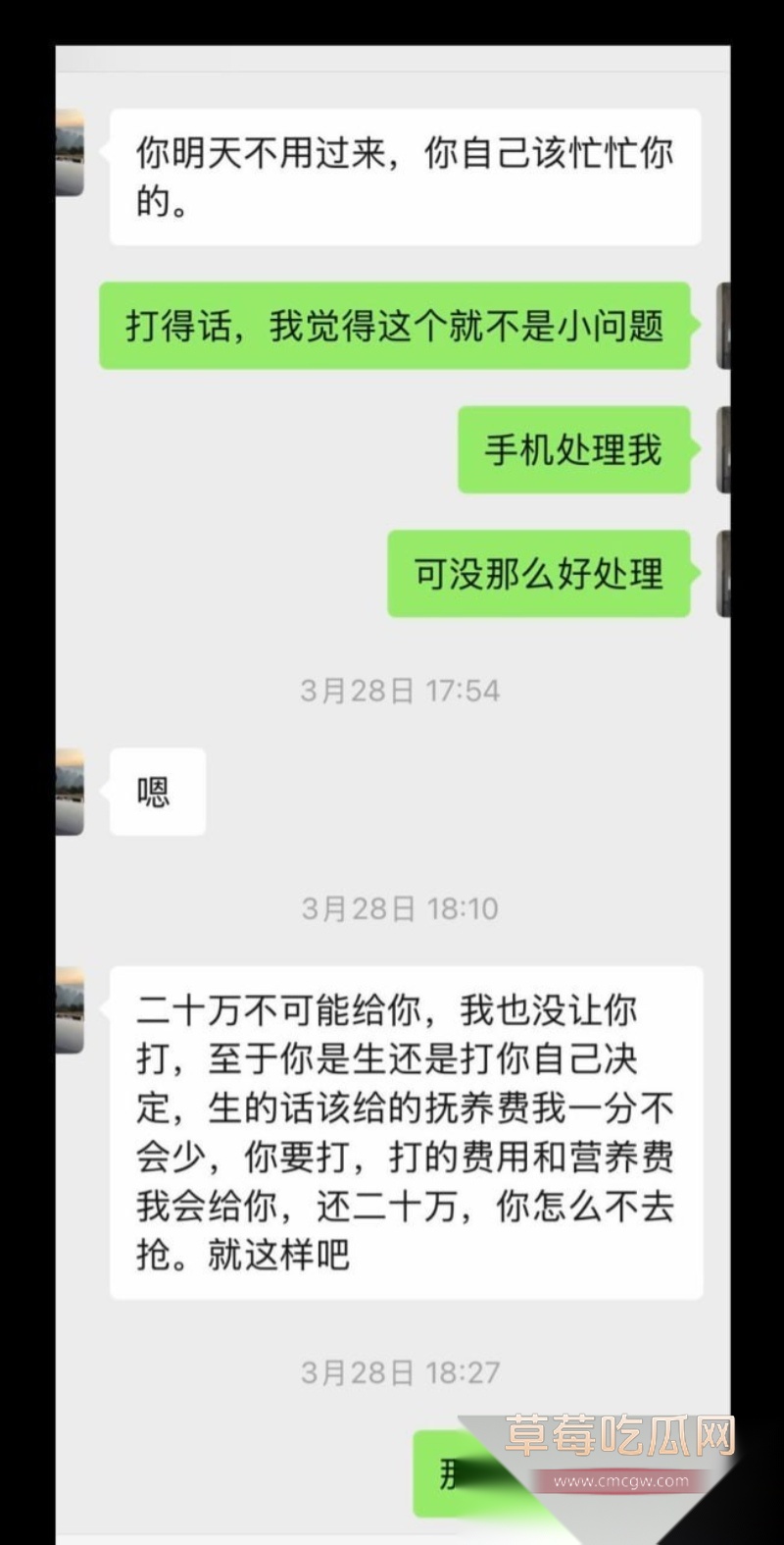 小仙女想用怀孕方式嫁入豪门 11