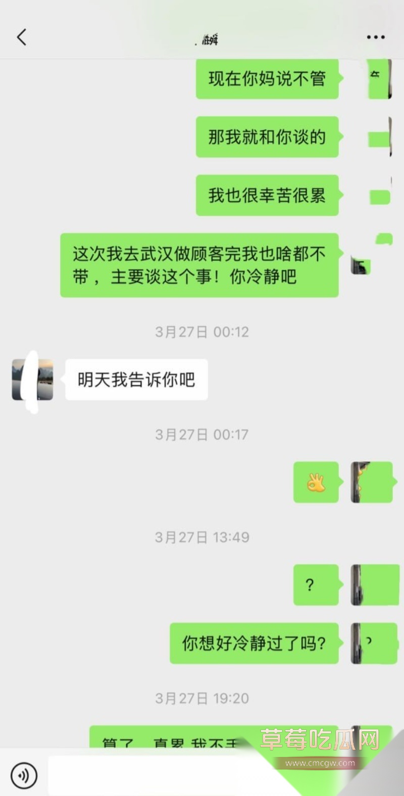 小仙女想用怀孕方式嫁入豪门 20
