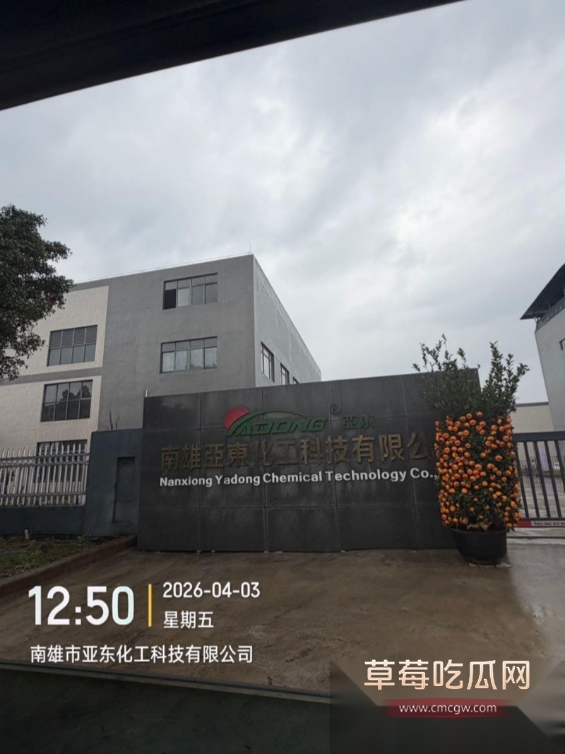 小仙女想用怀孕方式嫁入豪门 29