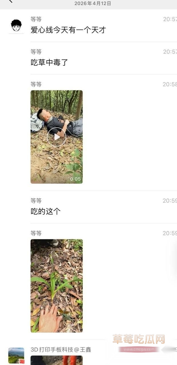 吃草中毒1