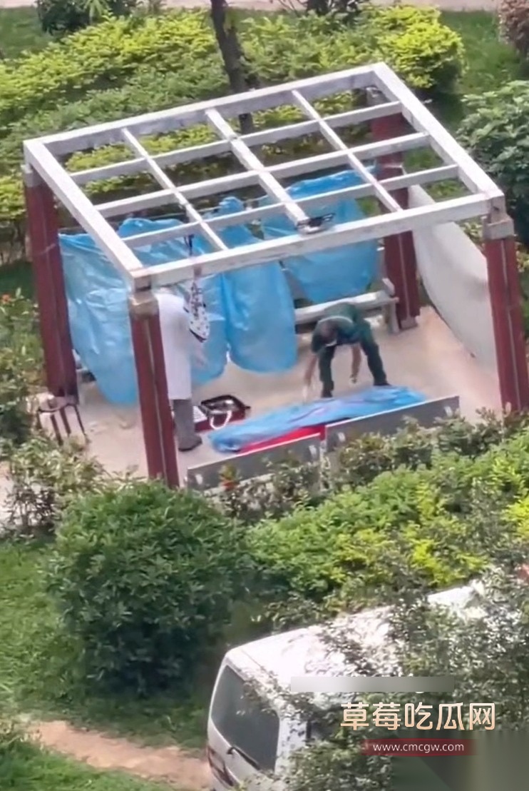 老奶上吊10 老奶上吊10