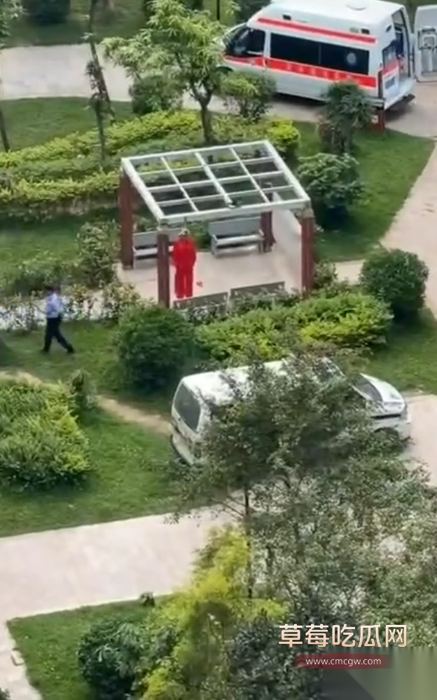 老奶上吊11 老奶上吊11