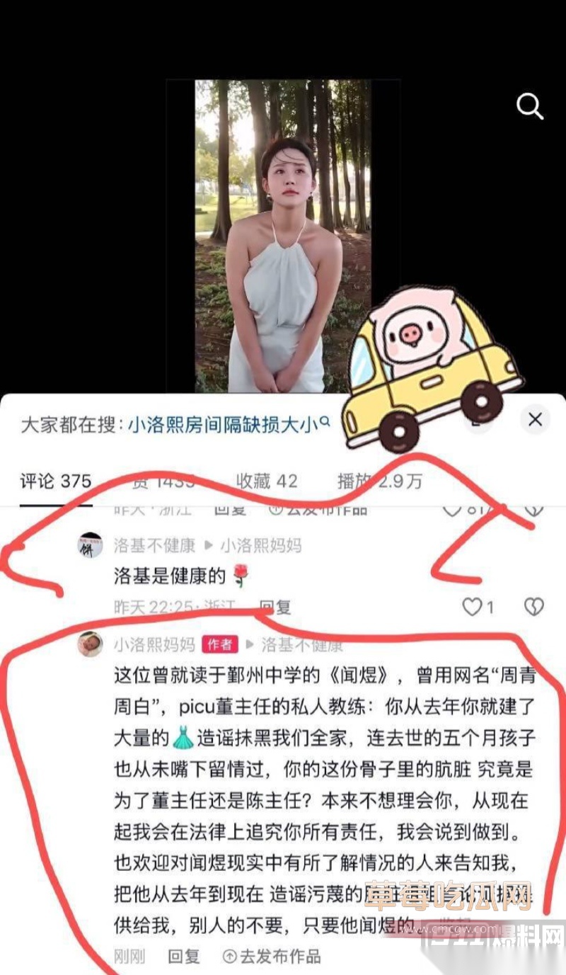 小洛熙案真凶下场 13