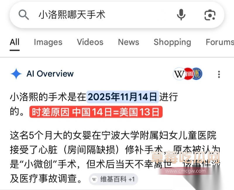 小洛熙案真凶下场 27