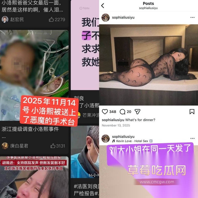 小洛熙案真凶下场 28