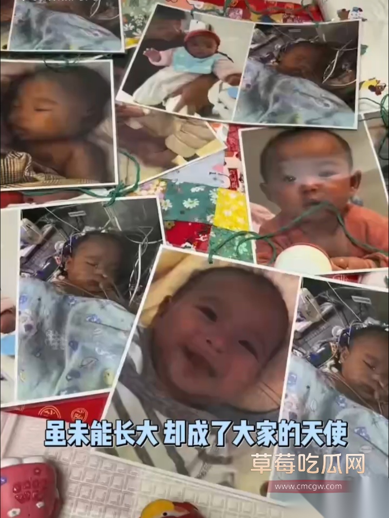 小洛熙案真凶下场 5