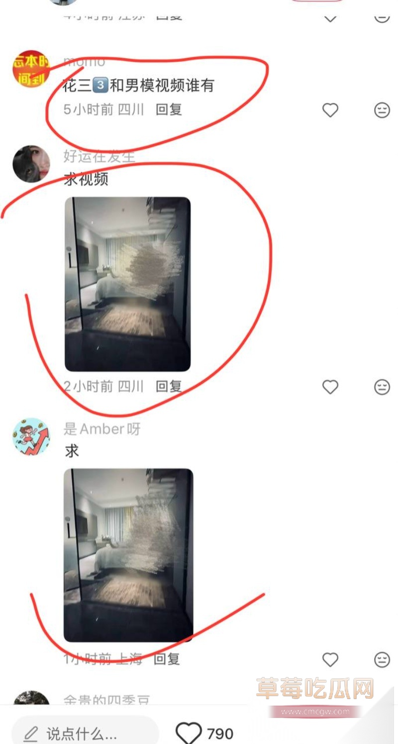 花三三长期接受榜一大哥 34