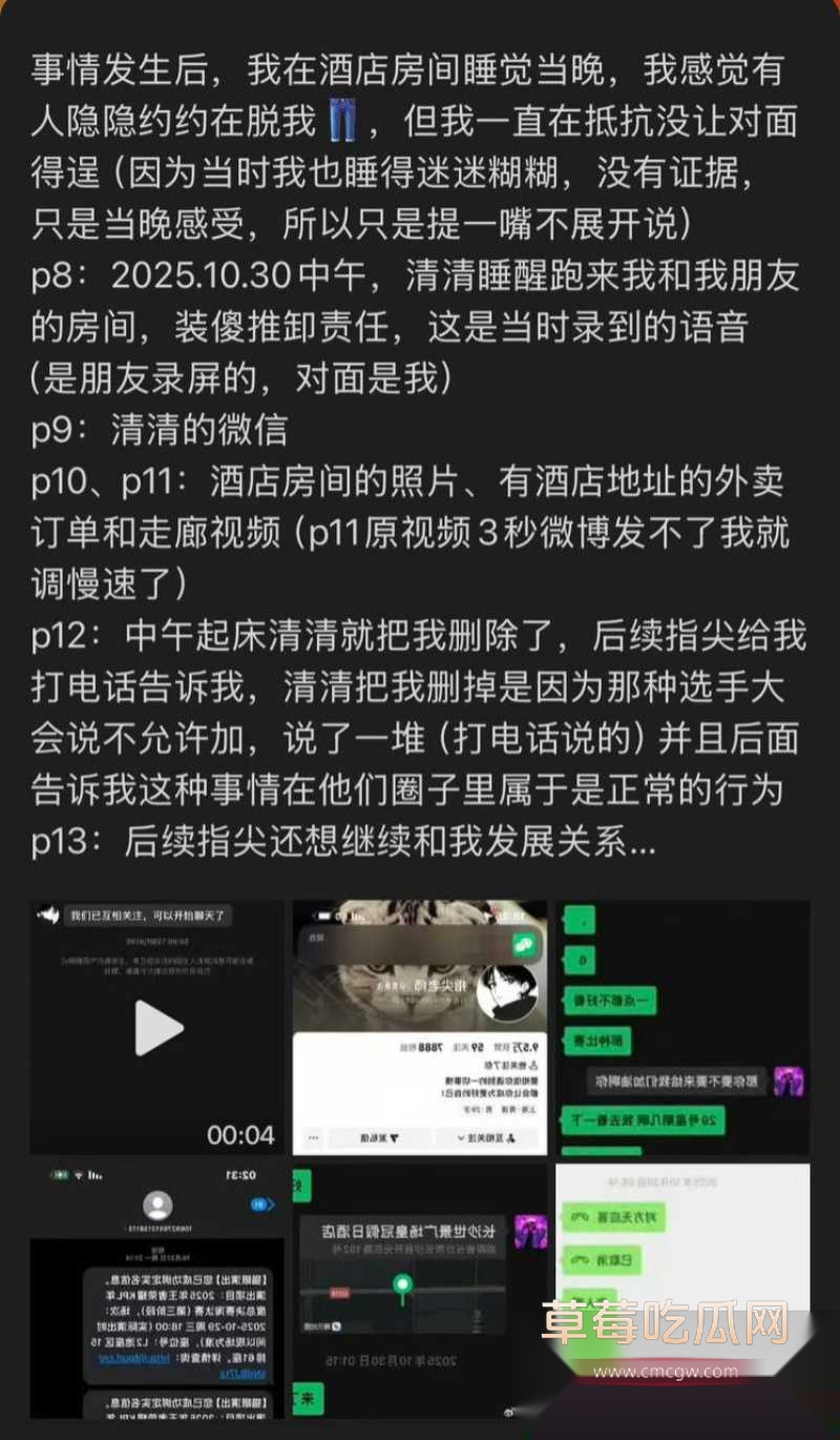 王者荣耀狼队清清 8