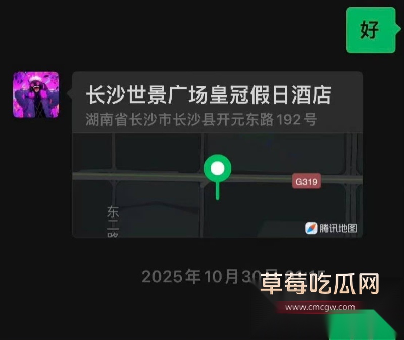 王者荣耀狼队清清 12