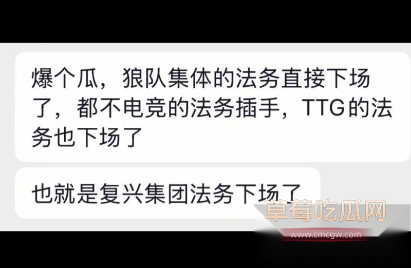 王者荣耀狼队清清 13