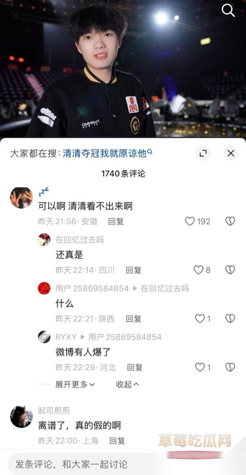 王者荣耀狼队清清 15