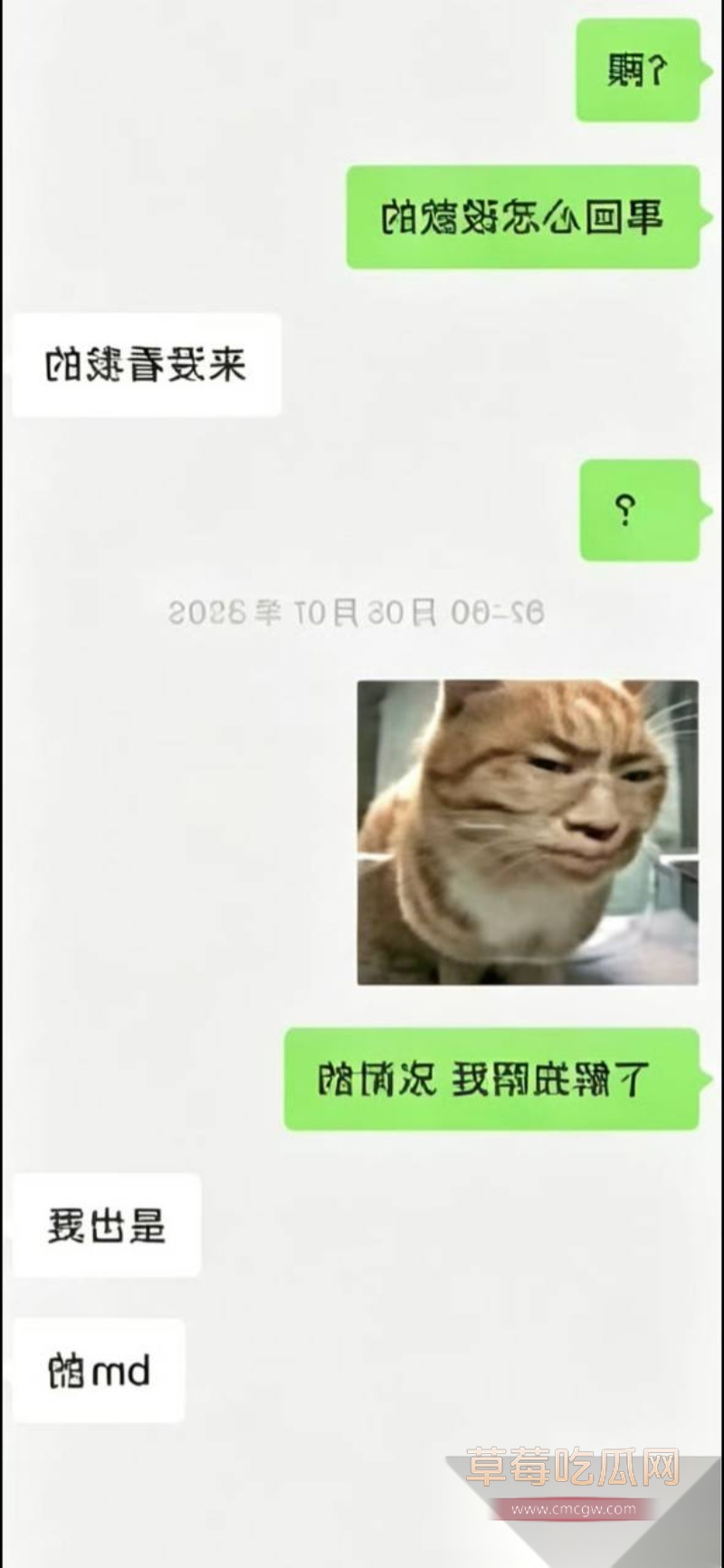 王者荣耀狼队清清 21