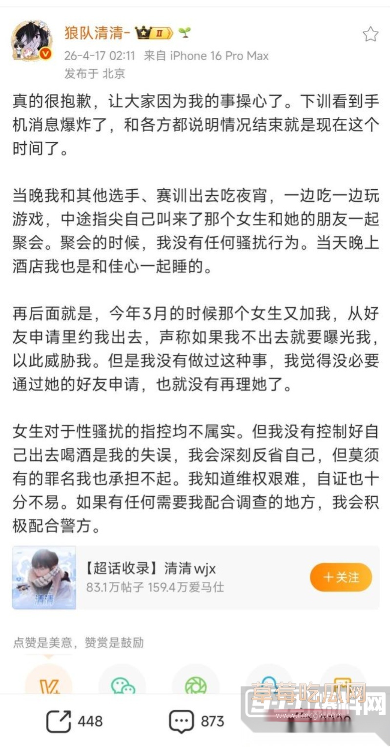 王者荣耀狼队清清 26