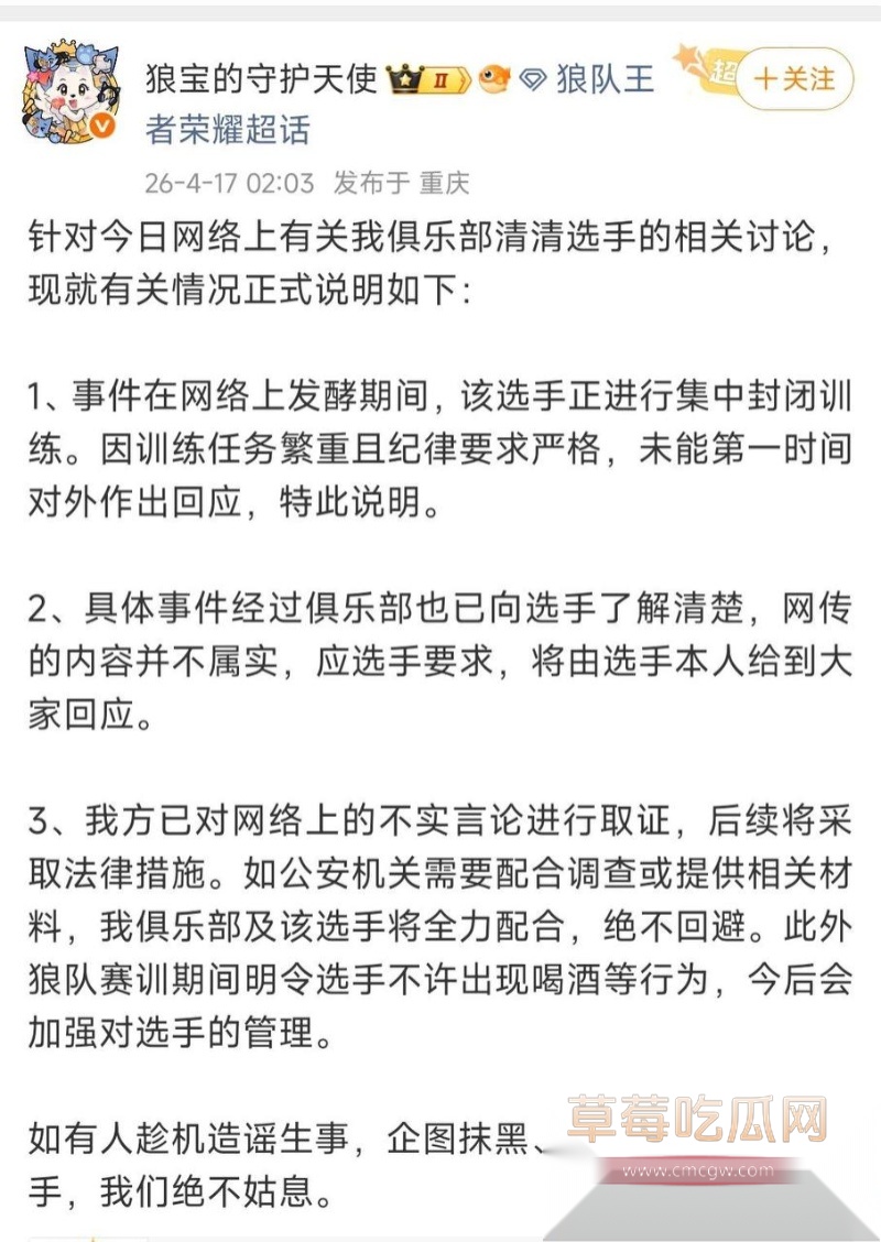 王者荣耀狼队清清 27