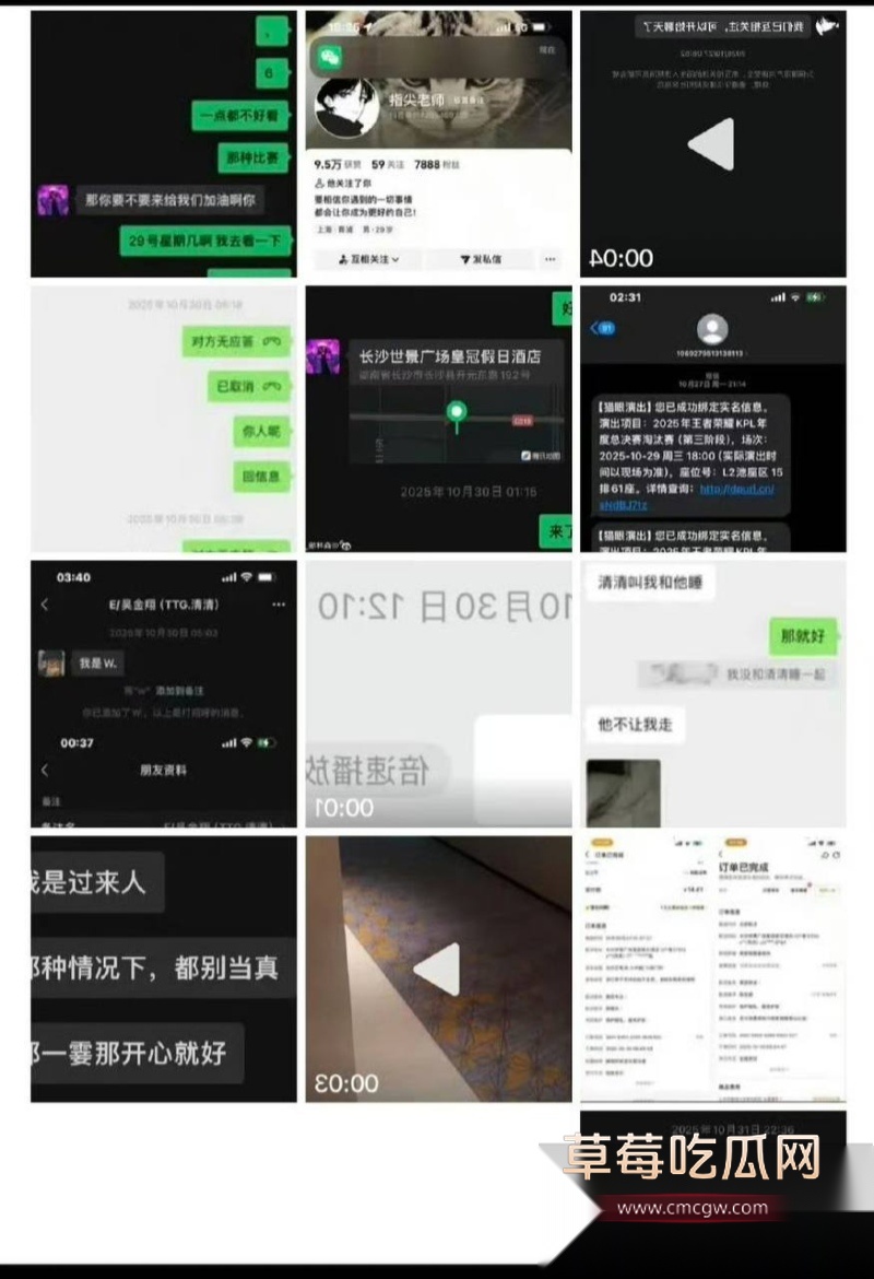 王者荣耀狼队清清 28
