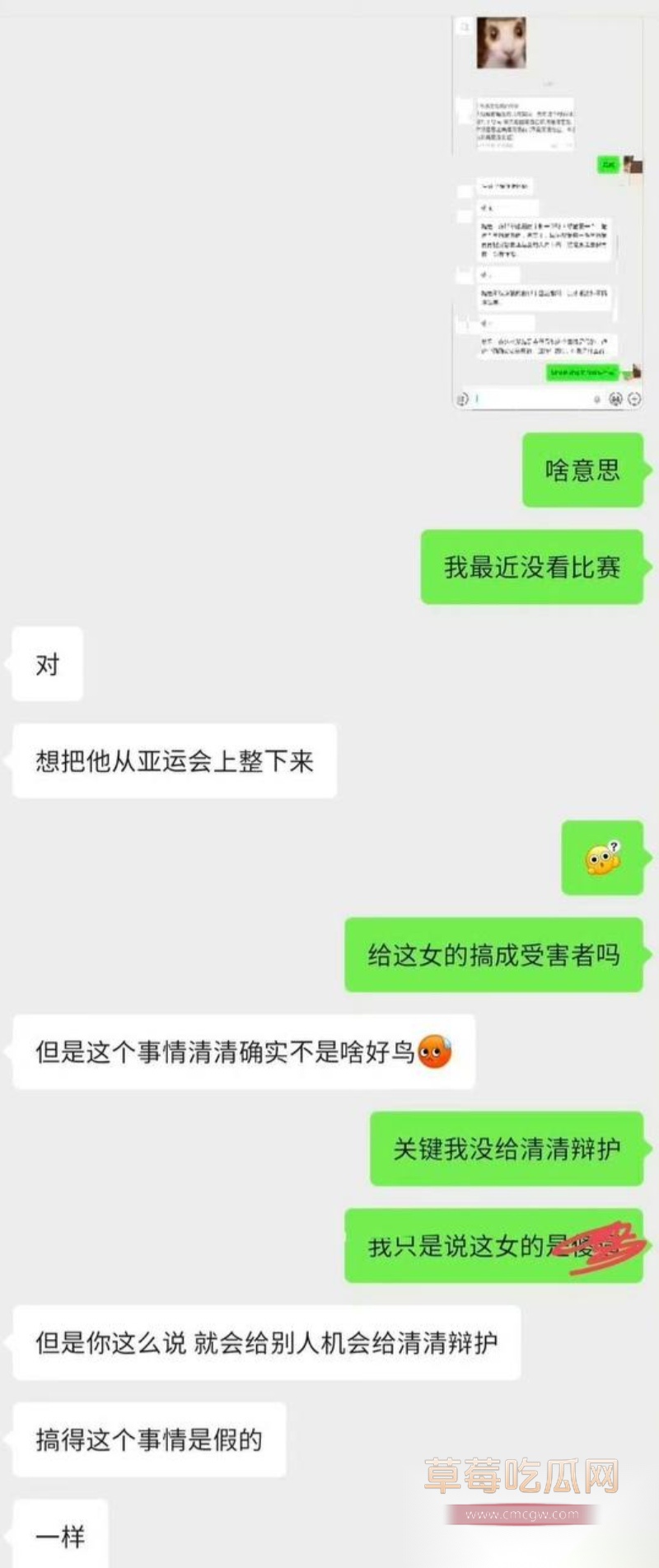 王者荣耀狼队清清 32