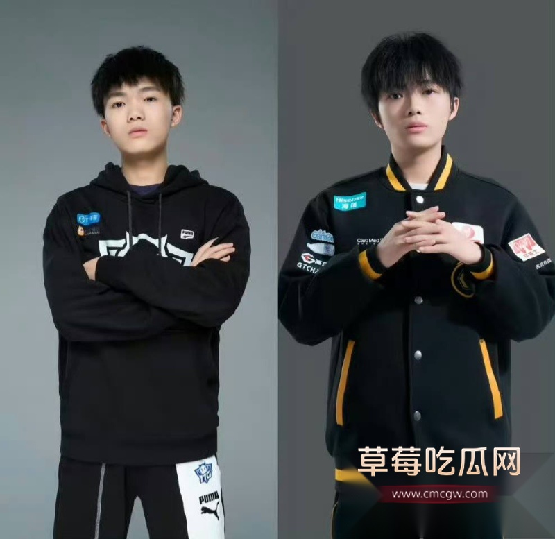王者荣耀狼队清清 34