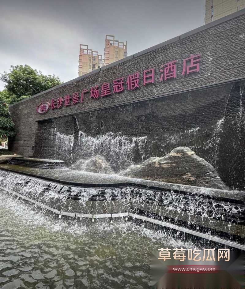 王者荣耀狼队清清 41
