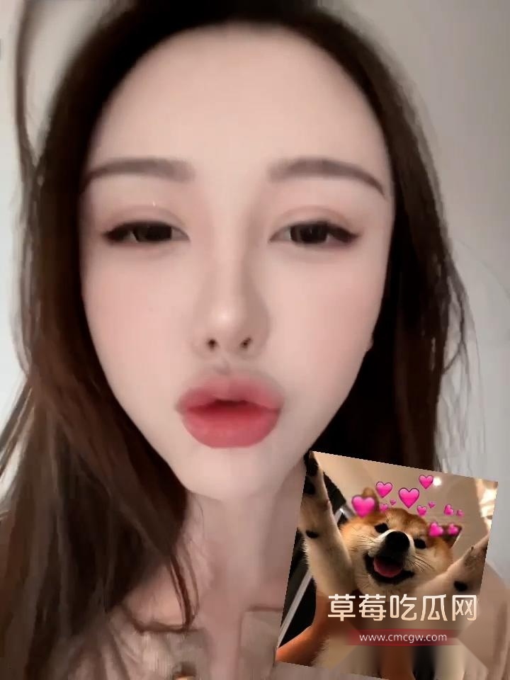总华探长的小狗4