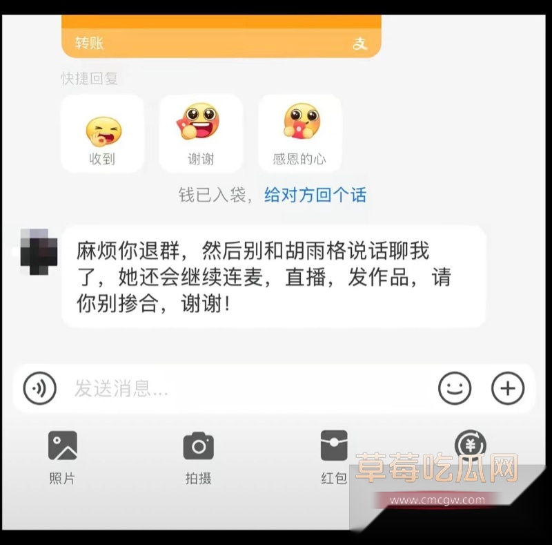 女网红 胡宇格 爆料 12