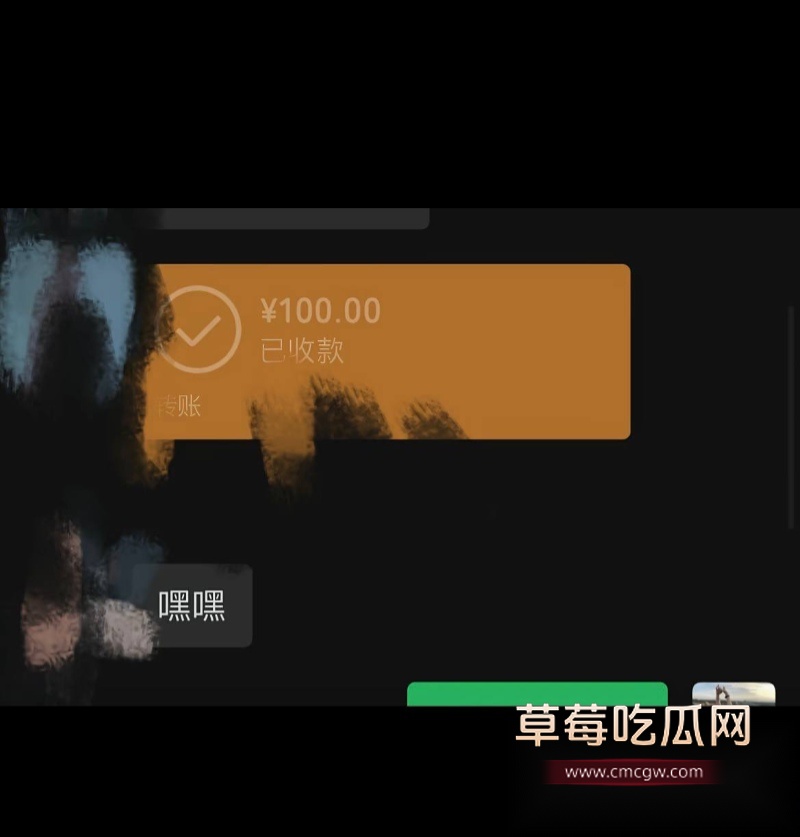 女网红 胡宇格 爆料 16
