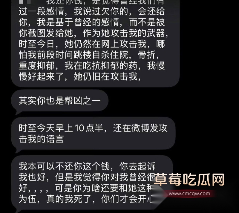 女网红 胡宇格 爆料 26