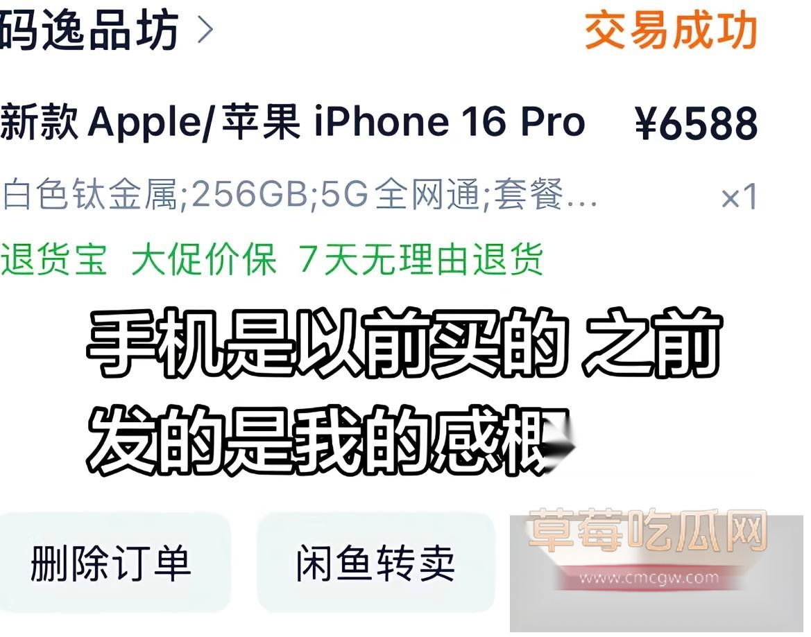 兰陵王24