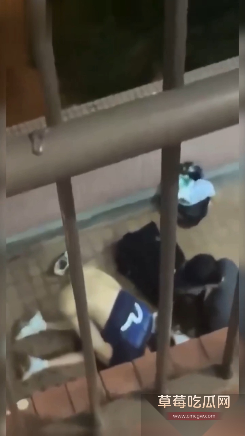 香港屋苑平台3P性爱派对被曝光 2 香港屋苑平台3P性爱派对被曝光 2