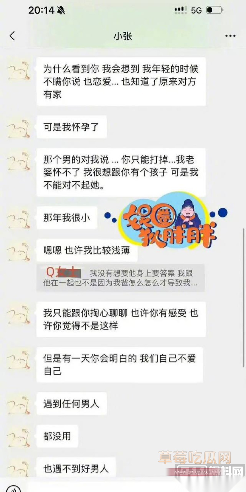 高云翔出轨张婉婷 7