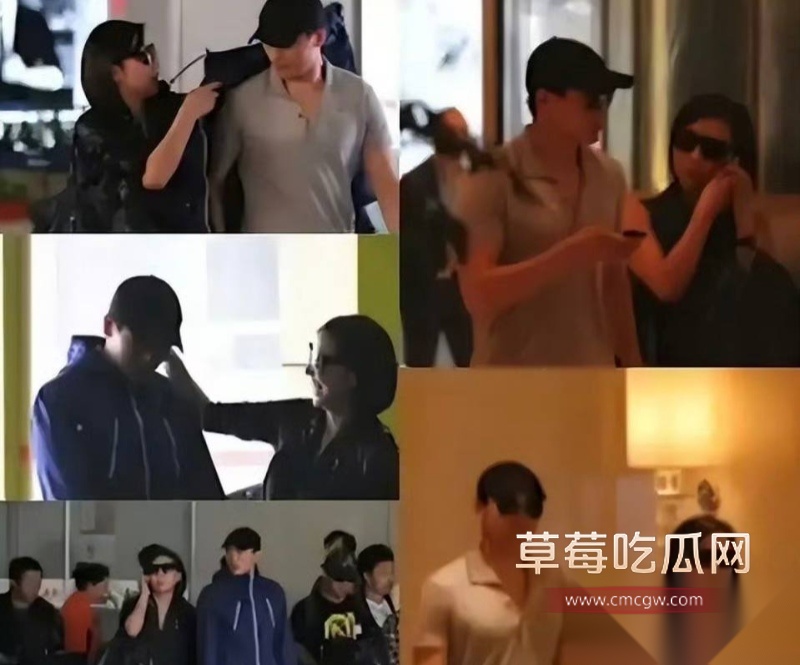 高云翔出轨张婉婷 10