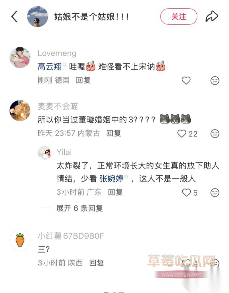 高云翔出轨张婉婷 54