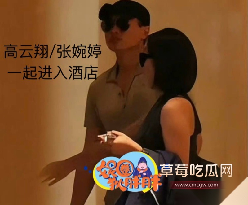 高云翔出轨张婉婷 57