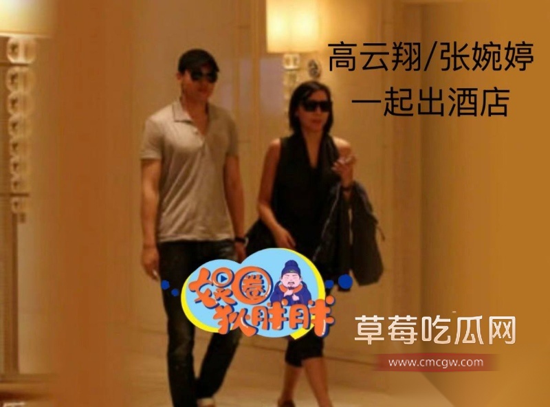 高云翔出轨张婉婷 58